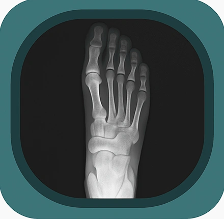 X ray foot anatomy icon